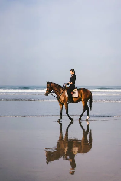 Caballo ecuestre hembra joven en la playa de arena cerca del océano - foto de stock