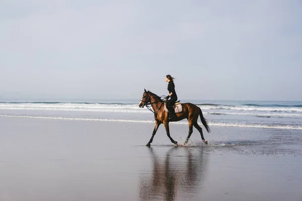 Side view of young female equestrian riding horse on sandy beach — Stock Photo