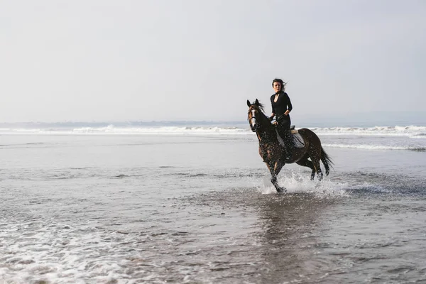 Jovem fêmea equestre equitação cavalo na água — Fotografia de Stock