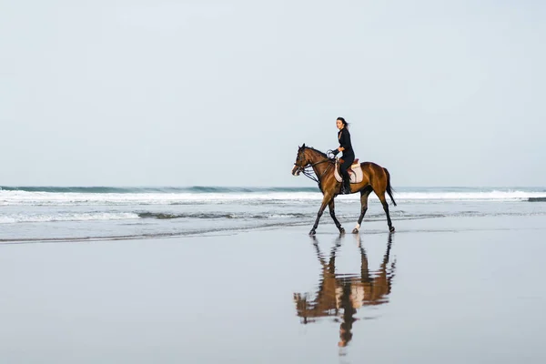 Distant view of woman riding horse on sandy beach with ocean behind — Stock Photo