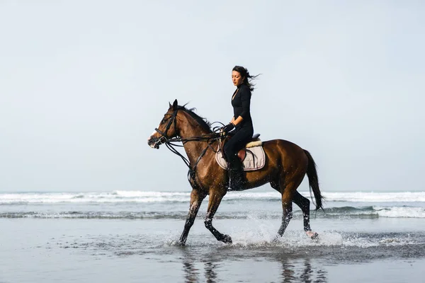 Cheval d'équitation — Photo de stock