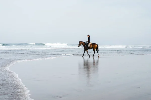 Fernsicht auf Reiterin am Sandstrand — Stockfoto