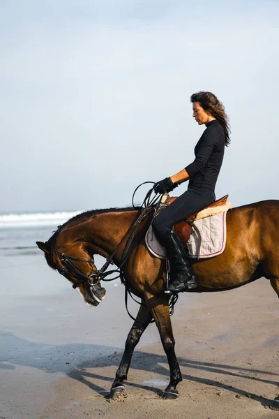 Équitation — Photo de stock