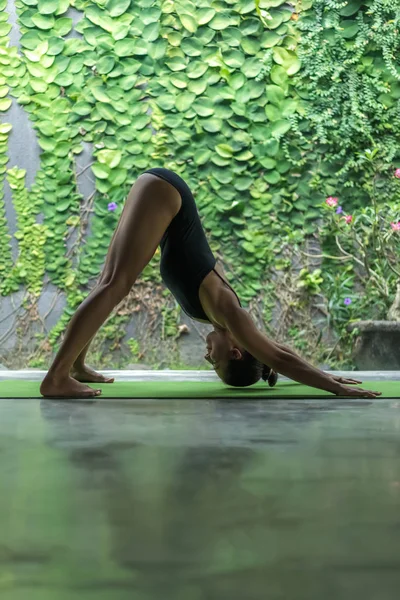 Adho mukha svanasana — Stockfoto