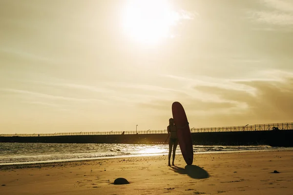Vue arrière de surfeur posant avec planche de surf sur la plage au coucher du soleil — Photo de stock