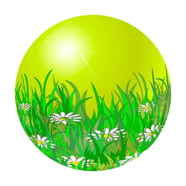 Grüne Kugel Mit Kamille Gras Optische Täuschung Mit Effekt — Stockvektor