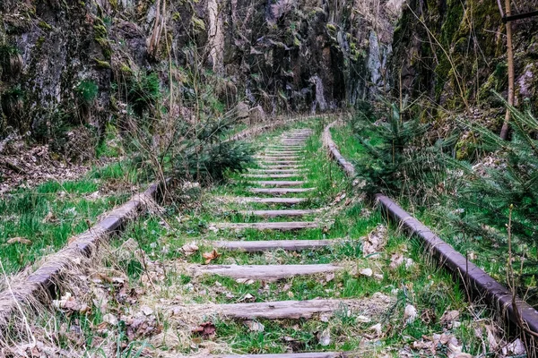 Rails Rocku Overgrown Gras — Stock Photo, Image