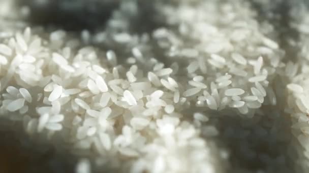 Rijst-maïs valt langzaam en prachtig — Stockvideo