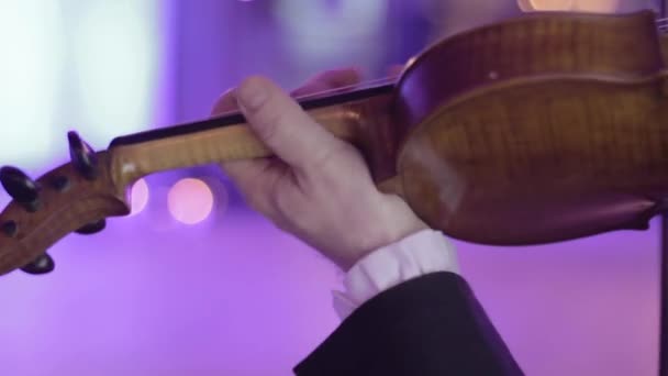 Musiker spielt Geige, ein klassisches Musikinstrument — Stockvideo