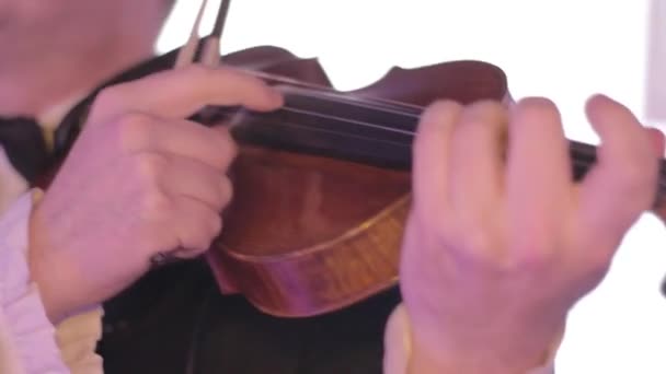 Músico toca dedos o violino, um instrumento musical clássico — Vídeo de Stock