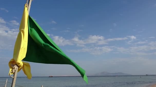 Zelená vlajka se pohybuje ve větru — Stock video