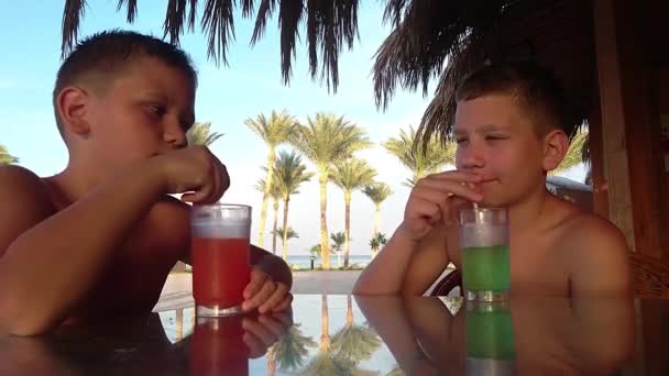 Zwei Jungen trinken einen Sommercocktail — Stockvideo