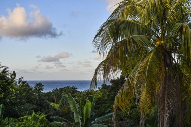 Balkon Ocho Rios Jamaika okyanustan görünümünü