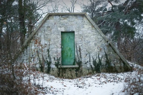 Shed in forest — Stock Photo, Image