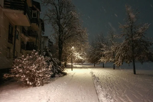 Besneeuwde straat in de nacht — Stockfoto