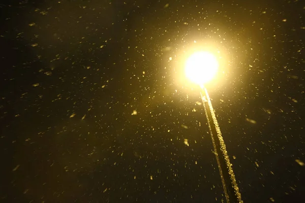 暴风雪中的路灯 — 图库照片