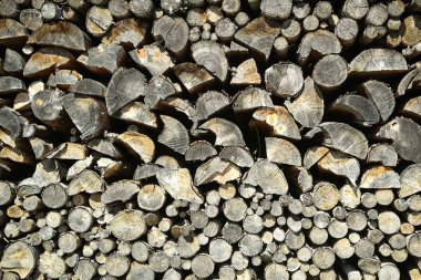 Kesilmiş odun yığını