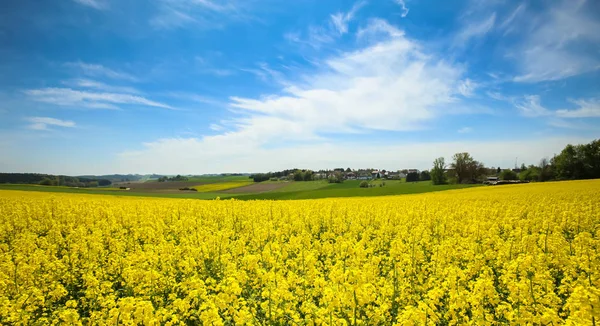 Fields in Germany — Stock Photo, Image