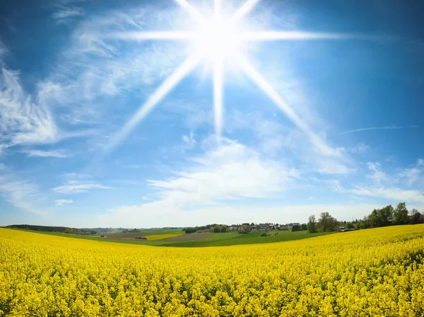 Fields in Germany — Stock Photo, Image