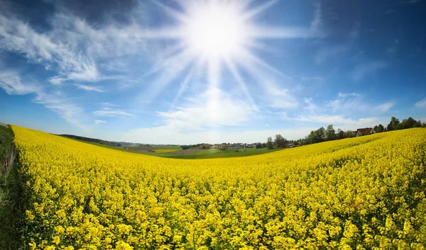 Fields in Germany — Stock Photo, Image