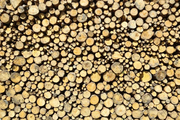 Impilabile di legno tritato — Foto Stock
