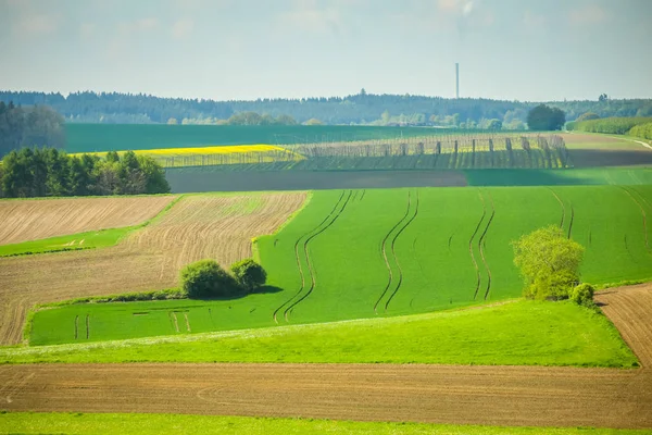 Fields of Bavaria — Stock Photo, Image