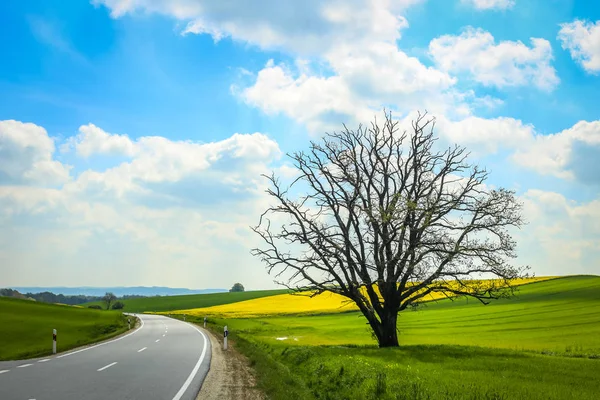 Fields of Bavaria — Stock Photo, Image