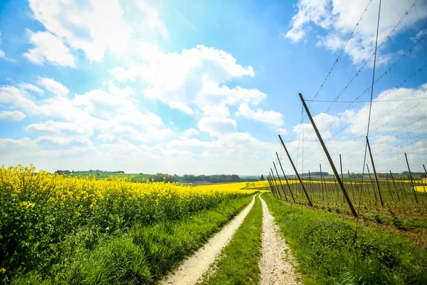 Campi di bavaria — Foto Stock