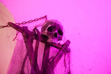 Lukavec kale Perunfest Festivali