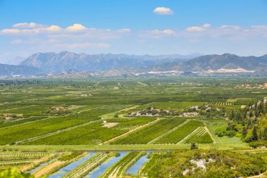 Neretva tarım alanları