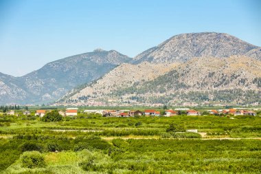 Neretva tarım alanları