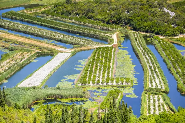 ネレトバ川の農業分野 — ストック写真