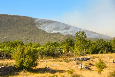 Duman bulutu gelen orman yangını