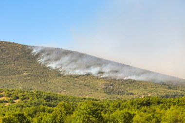 Duman bulutu gelen orman yangını