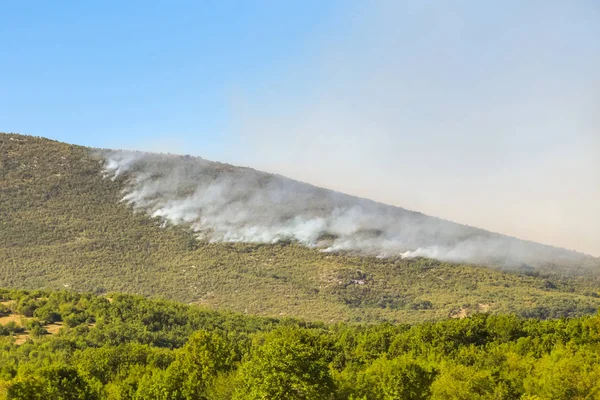 Duman bulutu gelen orman yangını