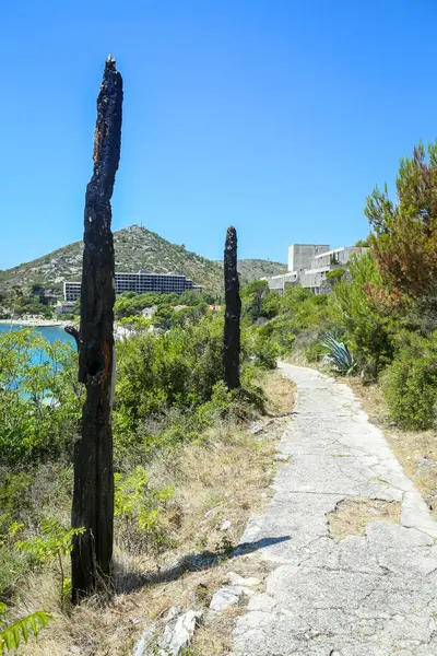 Yolun yanındaki Adriyatik Denizi