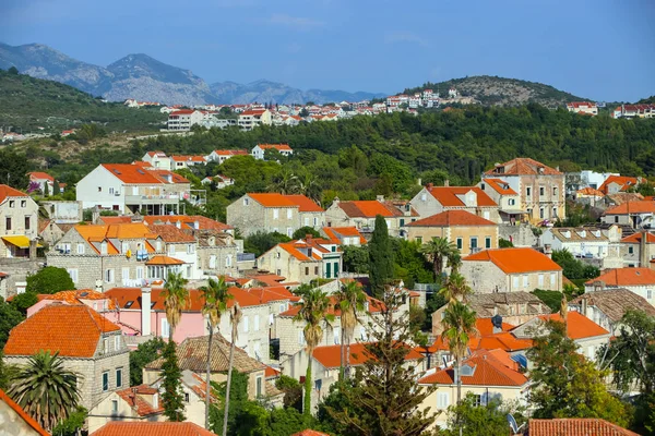 Aerial view of houses in Cavtat — Stock Photo, Image