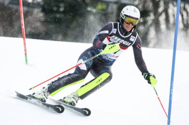 Audi FIS Dünya Kupası - Bayanlar Slalom