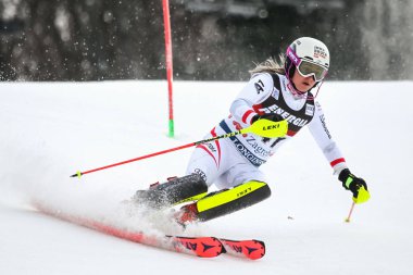 Audi FIS Dünya Kupası - Bayanlar Slalom