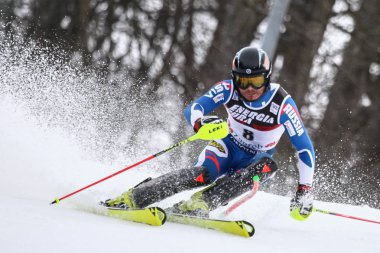 Audi FIS Dünya Kupası Mens Slalom