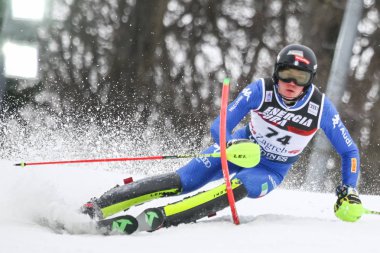 Audi FIS Dünya Kupası Mens Slalom