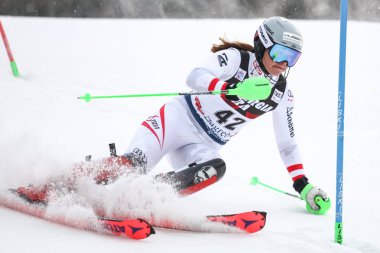 Audi FIS Dünya Kupası Bayanlar Slalom
