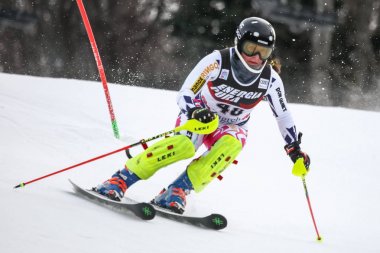 Audi FIS Dünya Kupası Bayanlar Slalom