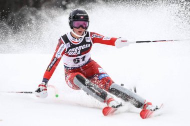 Audi FIS Dünya Kupası Bayanlar Slalom