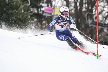Audi FIS Dünya Kupası Bayanlar Slalom