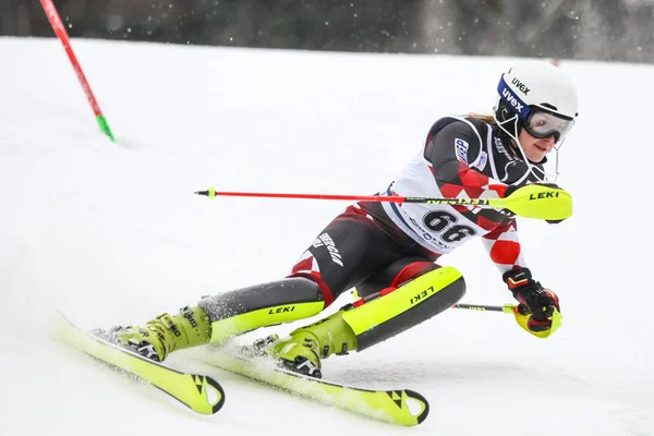 Audi Fis World Cup damer Slalom — Stockfoto