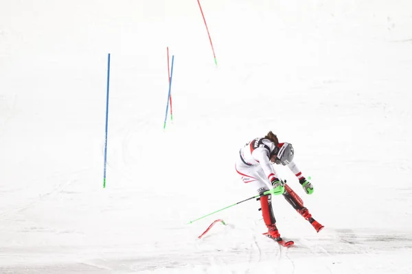 Audi FIS Dünya Kupası Bayanlar Slalom bitiş çizgisine — Stok fotoğraf
