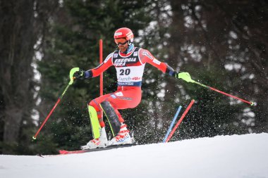 Audi FIS Dünya Kupası Mens Slalom