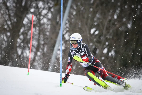 Audi Fis World Cup Mens Slalom — Foto Stock