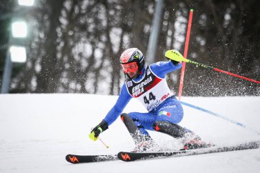Audi FIS Dünya Kupası Mens Slalom